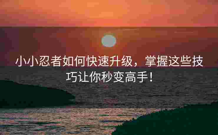 小小忍者如何快速升级,掌握这些技巧让你秒变高手! 小小忍者如何快速升级,掌握这些技巧让你秒变高手!